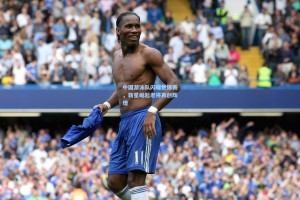 中国游泳队闪耀世锦赛，新星崛起老将再创辉煌