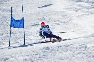 UFC重磅对决，新星崛起，传奇卫冕