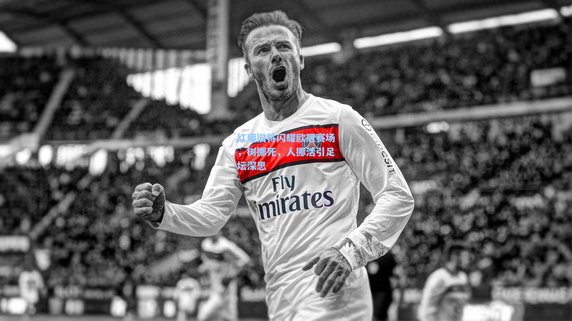 红魔旧将闪耀欧冠赛场，树挪死，人挪活引足坛深思