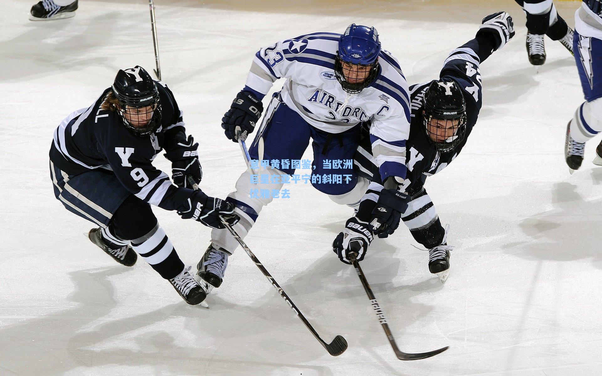意甲黄昏图鉴，当欧洲巨星在亚平宁的斜阳下优雅老去